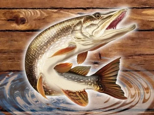 Fish Rain – סימולטור דיג
